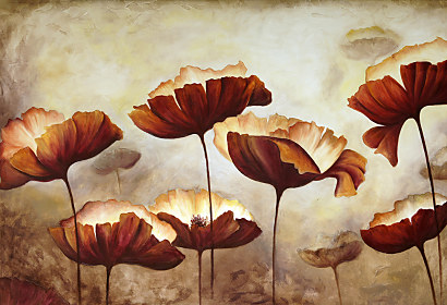 Fototapeta Velvet poppies 1035